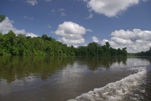 Goedkope rondreis Suriname6