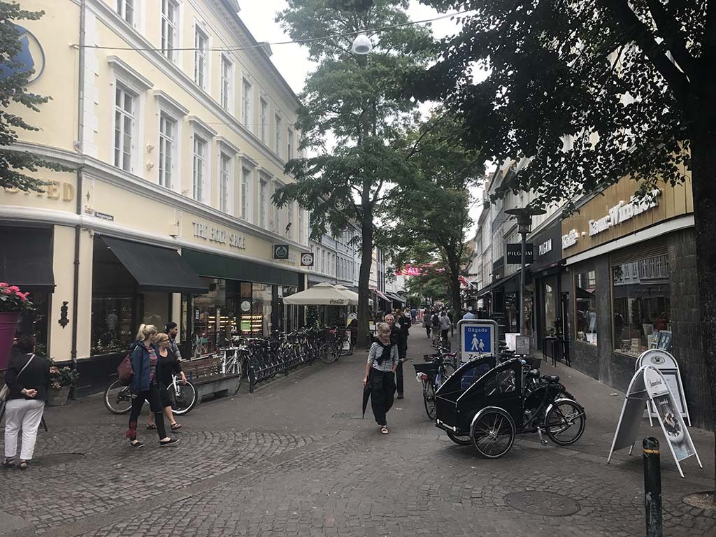Odense als tussenstop in Denemarken13